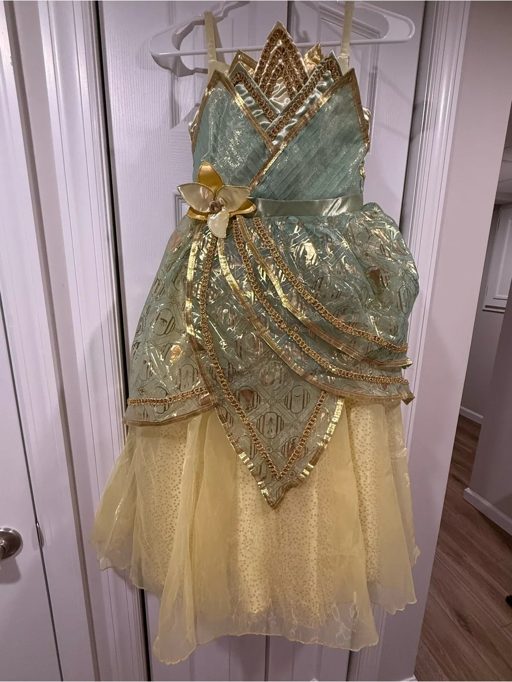 Disney Authentic Bippidi Bobbidi Boutique Deluxe Tiana Dress